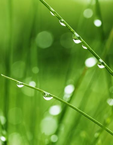 Desarrollo Clinico Img3